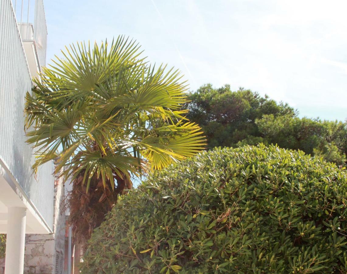 Apartmani "Mali Mago" Tribalj Exterior foto